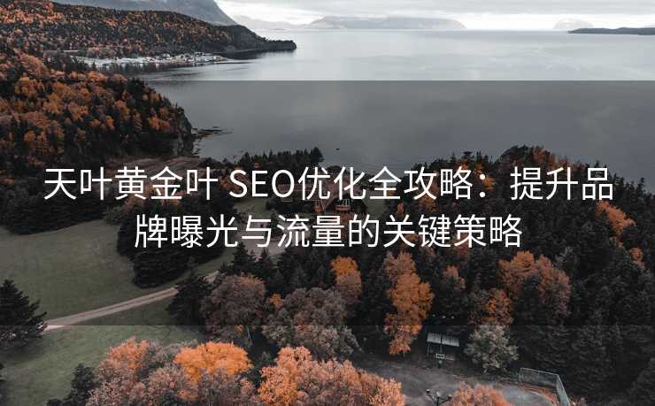 天叶黄金叶 SEO优化全攻略：提升品牌曝光与流量的关键策略