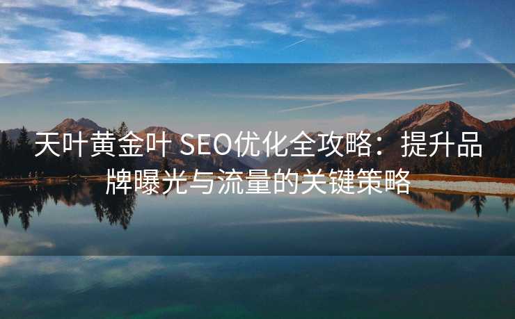 天叶黄金叶 SEO优化全攻略：提升品牌曝光与流量的关键策略