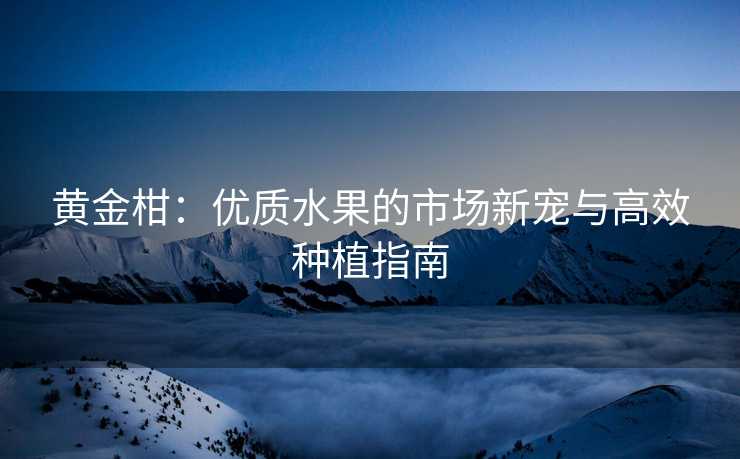 黄金柑：优质水果的市场新宠与高效种植指南