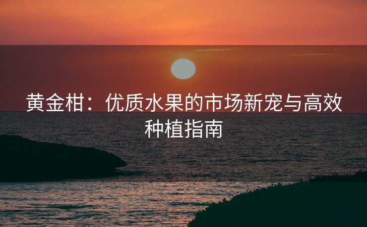 黄金柑：优质水果的市场新宠与高效种植指南