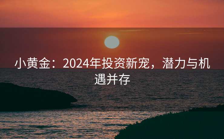 小黄金：2024年投资新宠，潜力与机遇并存