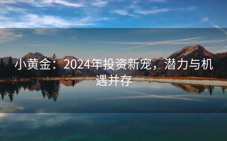 小黄金：2024年投资新宠，潜力与机遇并存