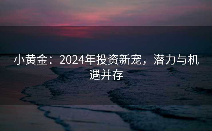 小黄金：2024年投资新宠，潜力与机遇并存
