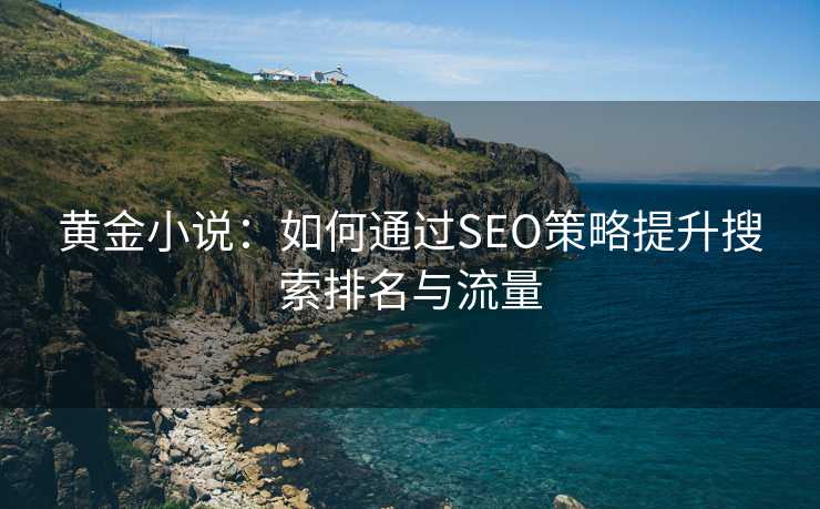 黄金小说：如何通过SEO策略提升搜索排名与流量