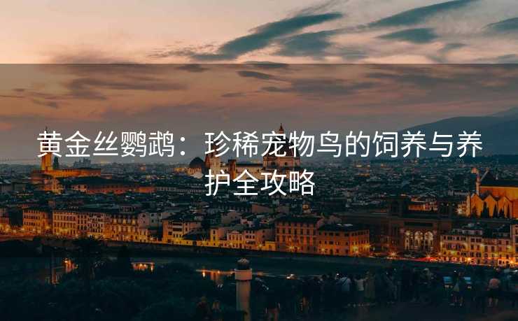 黄金丝鹦鹉:珍稀宠物鸟的饲养与养护全攻略 黄金丝鹦鹉:珍稀宠物鸟的饲养与养护全攻略