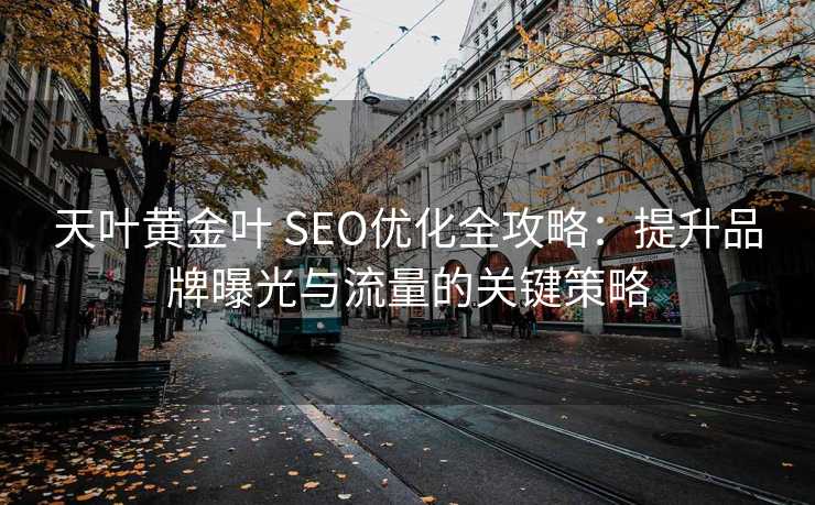 天叶黄金叶 SEO优化全攻略：提升品牌曝光与流量的关键策略