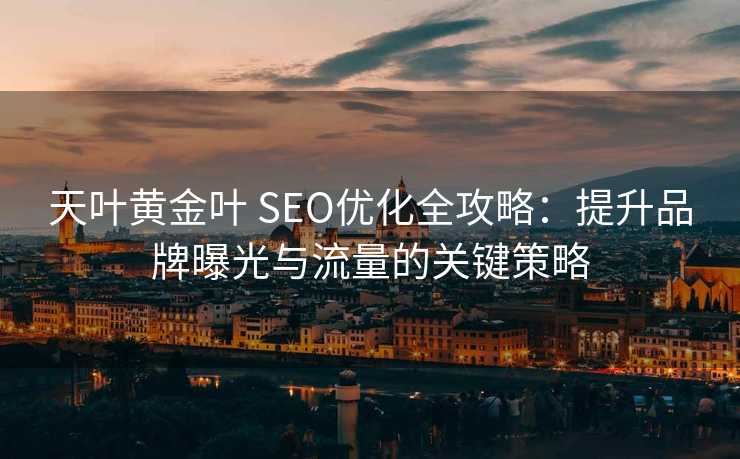 天叶黄金叶 SEO优化全攻略：提升品牌曝光与流量的关键策略