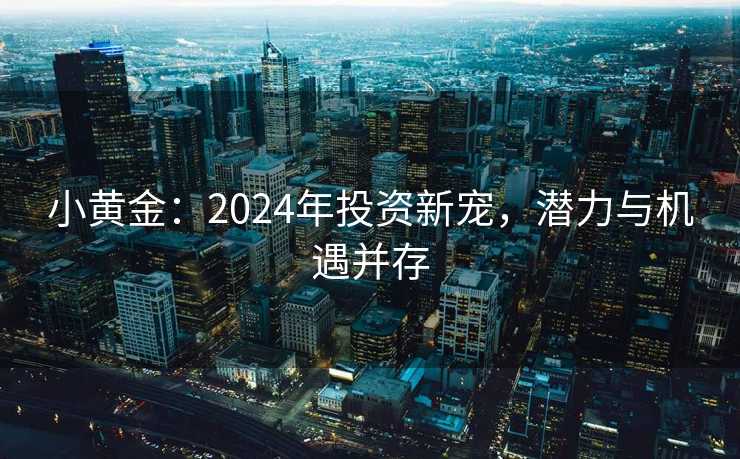小黄金：2024年投资新宠，潜力与机遇并存
