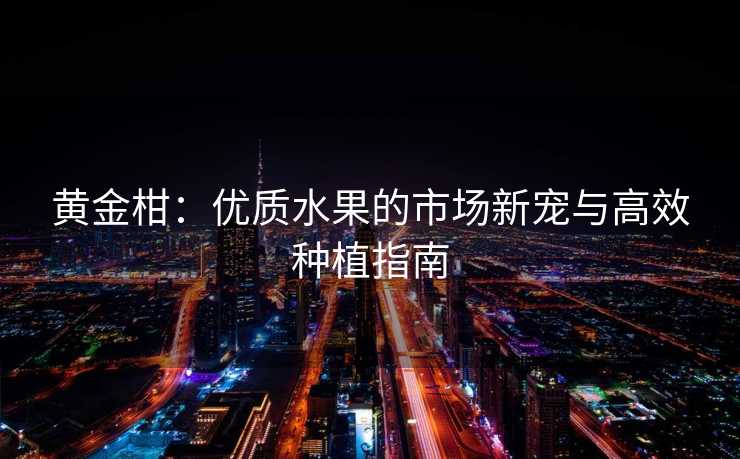 黄金柑：优质水果的市场新宠与高效种植指南