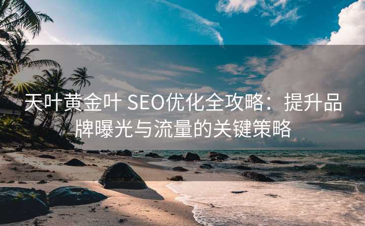 天叶黄金叶 SEO优化全攻略：提升品牌曝光与流量的关键策略