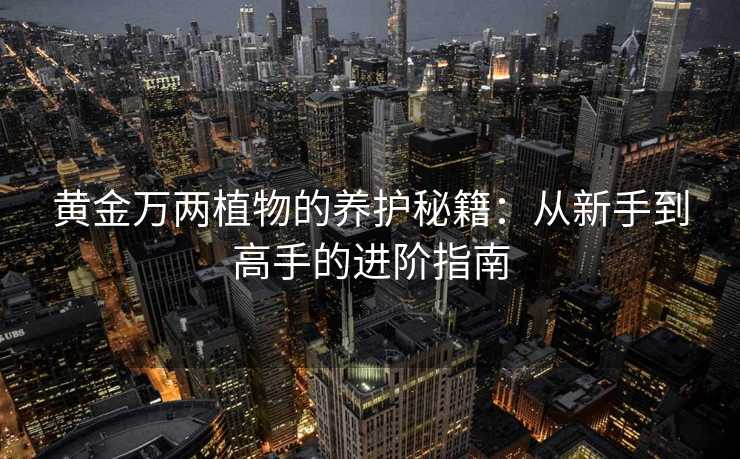 黄金万两植物的养护秘籍:从新手到高手的进阶指南 黄金万两植物的养护秘籍:从新手到高手的进阶指南