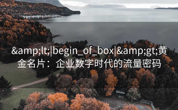 &lt;|begin_of_box|&gt;黄金名片：企业数字时代的流量密码