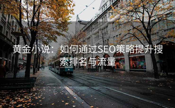 黄金小说：如何通过SEO策略提升搜索排名与流量