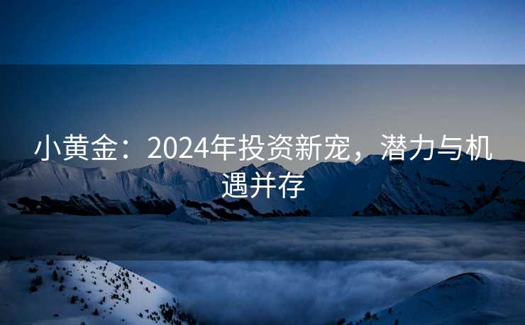 小黄金：2024年投资新宠，潜力与机遇并存