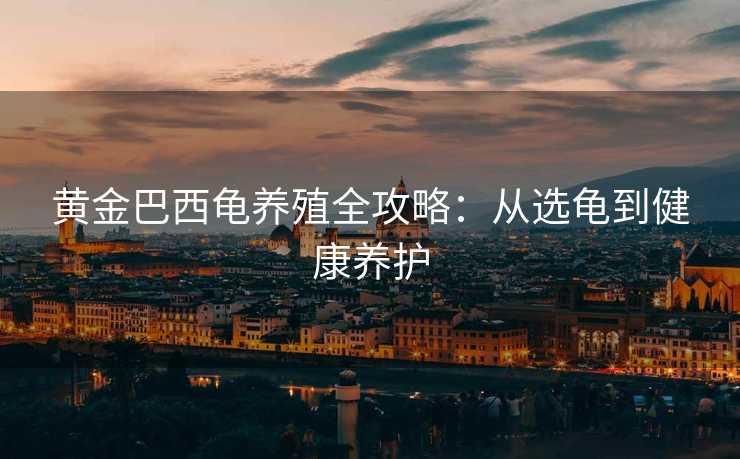 黄金巴西龟养殖全攻略：从选龟到健康养护