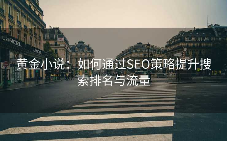 黄金小说：如何通过SEO策略提升搜索排名与流量