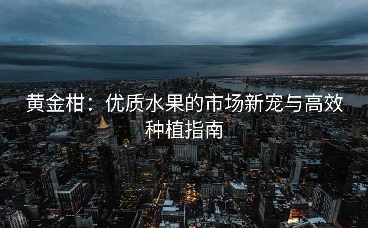 黄金柑：优质水果的市场新宠与高效种植指南