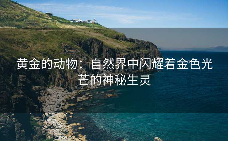 黄金的动物：自然界中闪耀着金色光芒的神秘生灵
