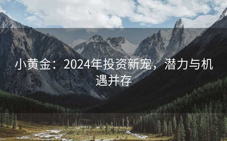 小黄金：2024年投资新宠，潜力与机遇并存