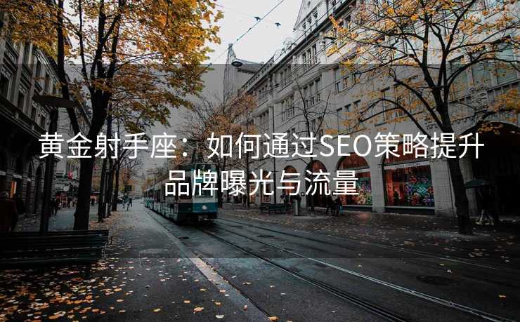黄金射手座：如何通过SEO策略提升品牌曝光与流量