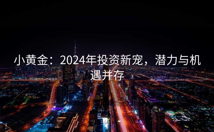 小黄金：2024年投资新宠，潜力与机遇并存