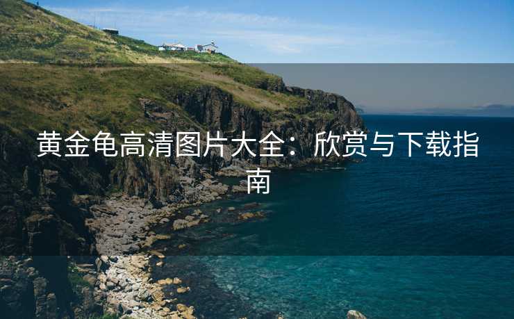 黄金龟高清图片大全:欣赏与下载指南 黄金龟高清图片大全:欣赏与下载指南