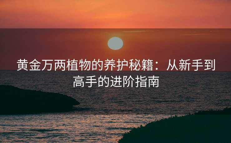 黄金万两植物的养护秘籍:从新手到高手的进阶指南 黄金万两植物的养护秘籍:从新手到高手的进阶指南