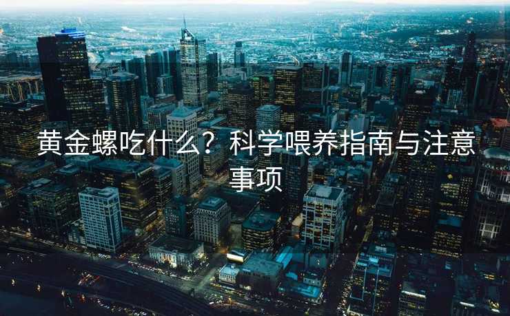 黄金螺吃什么?科学喂养指南与注意事项 黄金螺吃什么?科学喂养指南与注意事项