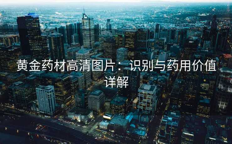 黄金药材高清图片:识别与药用价值详解 黄金药材高清图片:识别与药用价值详解