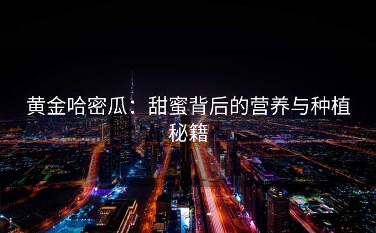 黄金哈密瓜:甜蜜背后的营养与种植秘籍 黄金哈密瓜:甜蜜背后的营养与种植秘籍