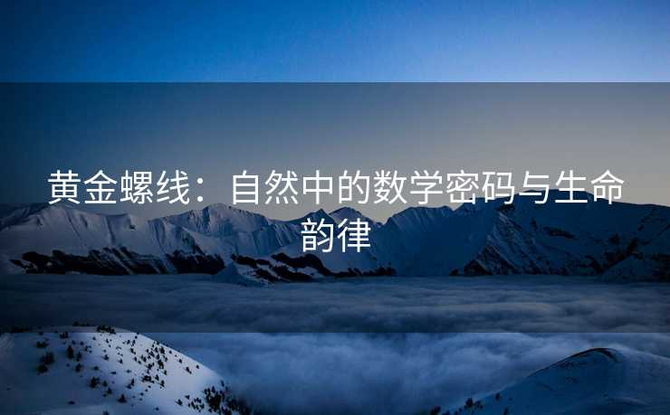 黄金螺线:自然中的数学密码与生命韵律 黄金螺线:自然中的数学密码与生命韵律