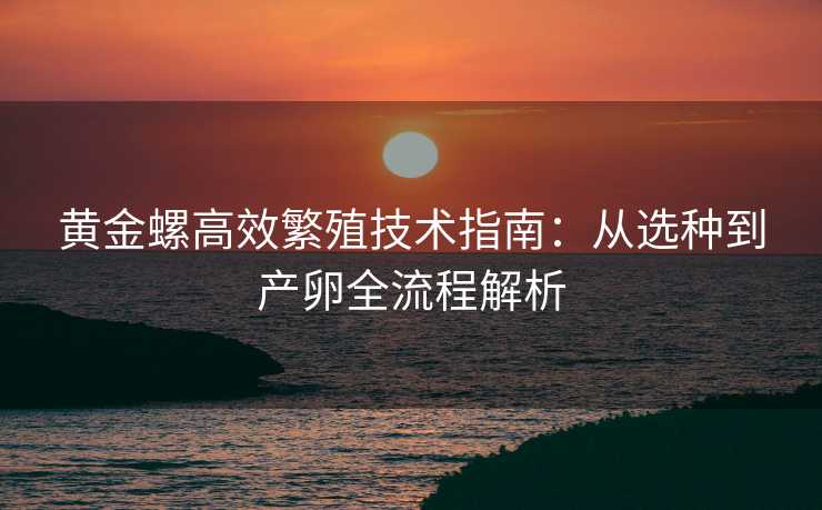 黄金螺高效繁殖技术指南:从选种到产卵全流程解析 黄金螺高效繁殖技术指南:从选种到产卵全流程解析