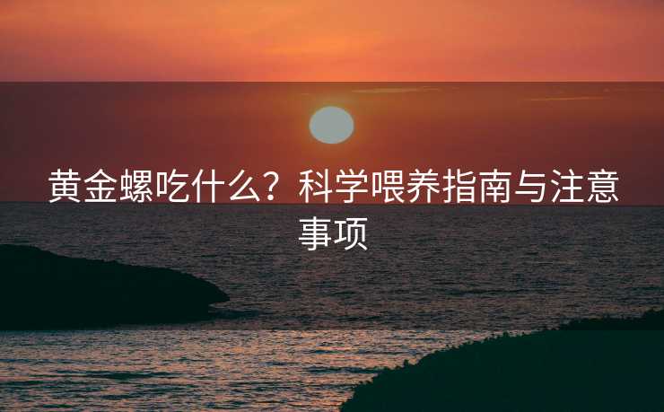 黄金螺吃什么?科学喂养指南与注意事项 黄金螺吃什么?科学喂养指南与注意事项