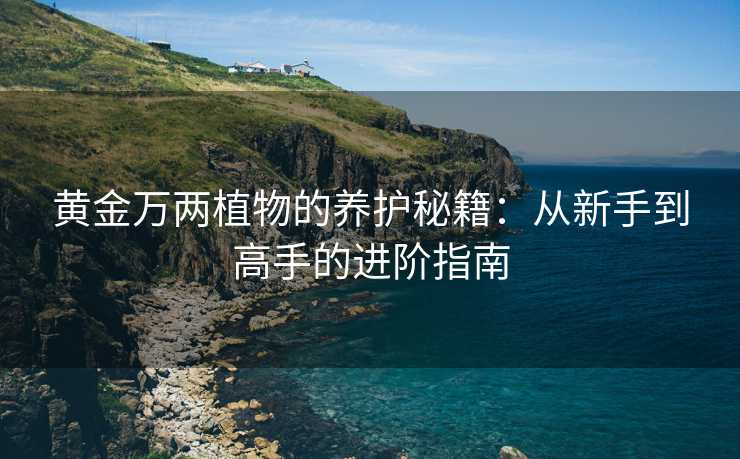 黄金万两植物的养护秘籍:从新手到高手的进阶指南 黄金万两植物的养护秘籍:从新手到高手的进阶指南
