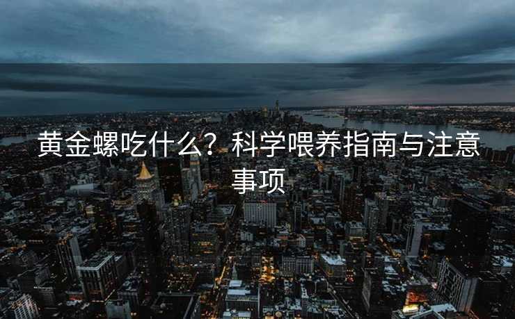 黄金螺吃什么?科学喂养指南与注意事项 黄金螺吃什么?科学喂养指南与注意事项