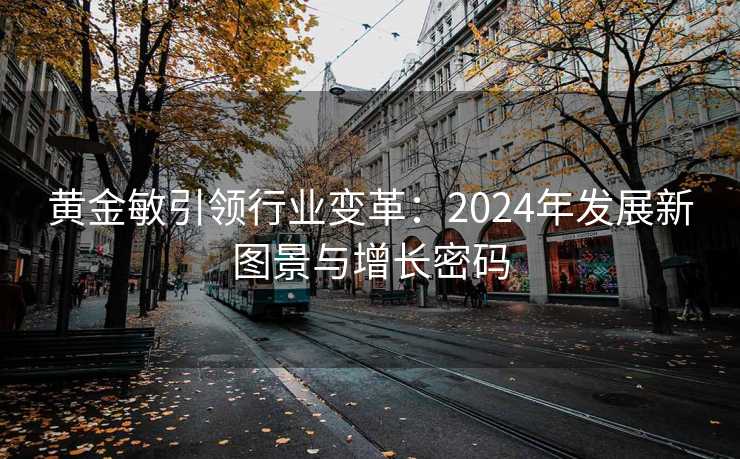 黄金敏引领行业变革:2024年发展新图景与增长密码 黄金敏引领行业变革:2024年发展新图景与增长密码