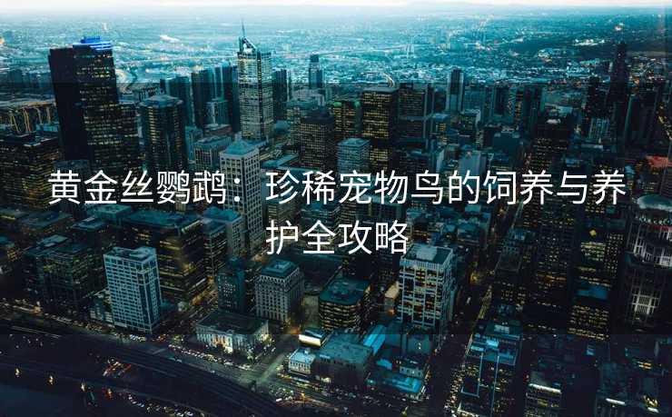 黄金丝鹦鹉:珍稀宠物鸟的饲养与养护全攻略 黄金丝鹦鹉:珍稀宠物鸟的饲养与养护全攻略