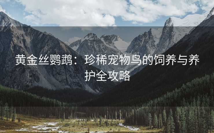 黄金丝鹦鹉:珍稀宠物鸟的饲养与养护全攻略 黄金丝鹦鹉:珍稀宠物鸟的饲养与养护全攻略