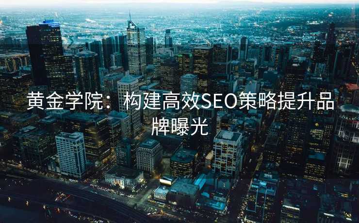 黄金学院:构建高效SEO策略提升品牌曝光 黄金学院:构建高效SEO策略提升品牌曝光