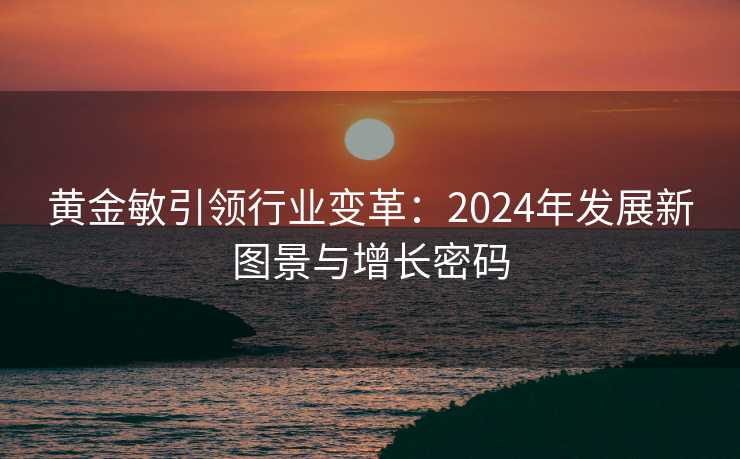 黄金敏引领行业变革:2024年发展新图景与增长密码 黄金敏引领行业变革:2024年发展新图景与增长密码