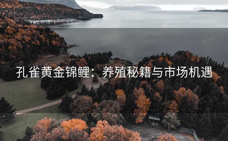 孔雀黄金锦鲤:养殖秘籍与市场机遇 孔雀黄金锦鲤:养殖秘籍与市场机遇