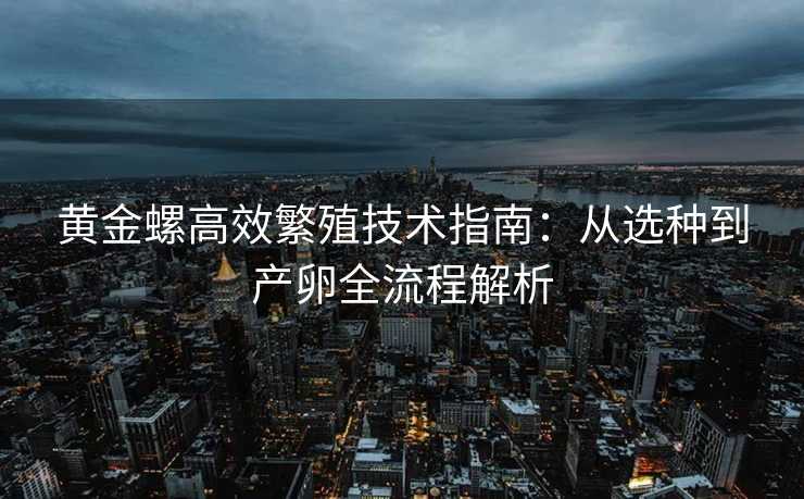 黄金螺高效繁殖技术指南:从选种到产卵全流程解析 黄金螺高效繁殖技术指南:从选种到产卵全流程解析
