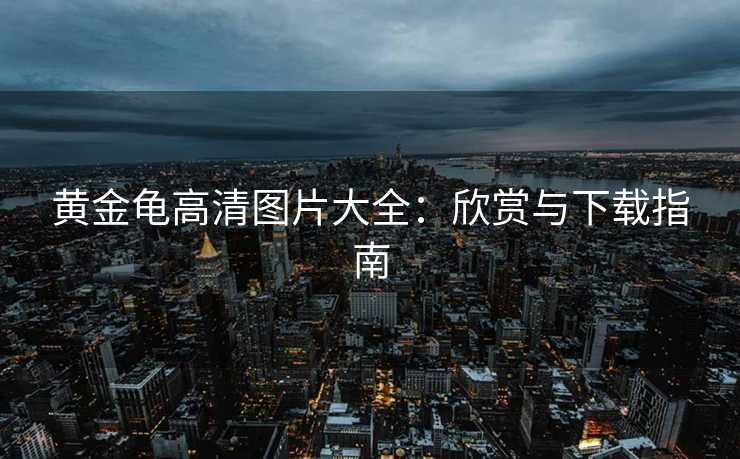 黄金龟高清图片大全:欣赏与下载指南 黄金龟高清图片大全:欣赏与下载指南
