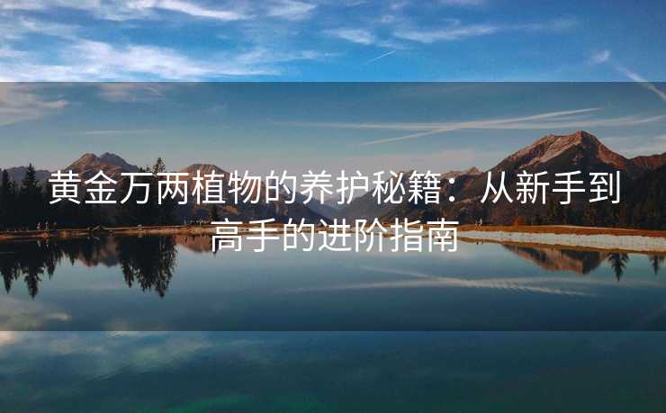 黄金万两植物的养护秘籍:从新手到高手的进阶指南 黄金万两植物的养护秘籍:从新手到高手的进阶指南