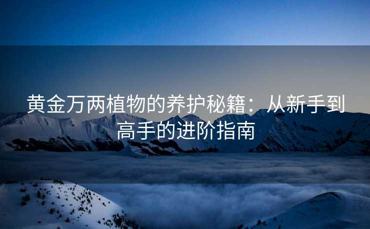 黄金万两植物的养护秘籍:从新手到高手的进阶指南 黄金万两植物的养护秘籍:从新手到高手的进阶指南