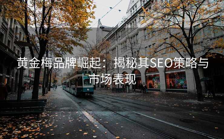 黄金梅品牌崛起:揭秘其SEO策略与市场表现 黄金梅品牌崛起:揭秘其SEO策略与市场表现