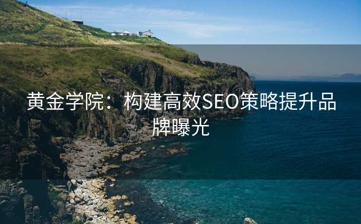 黄金学院:构建高效SEO策略提升品牌曝光 黄金学院:构建高效SEO策略提升品牌曝光