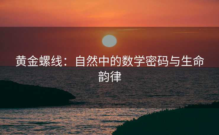 黄金螺线:自然中的数学密码与生命韵律 黄金螺线:自然中的数学密码与生命韵律