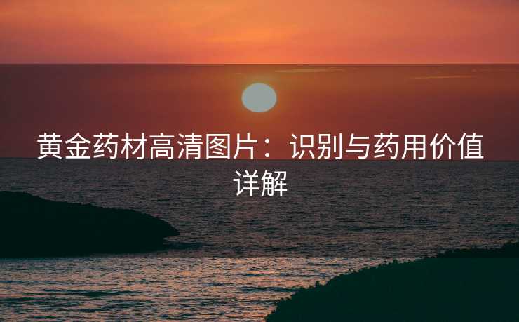 黄金药材高清图片:识别与药用价值详解 黄金药材高清图片:识别与药用价值详解