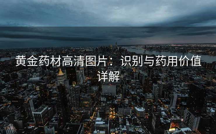 黄金药材高清图片:识别与药用价值详解 黄金药材高清图片:识别与药用价值详解